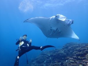 シージャック石垣島　アベ